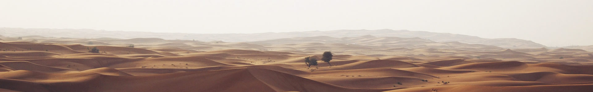 ϺȪ÷޹˾